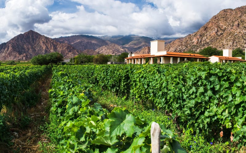 4-Day Salta: Humahuaca Valley & Cafayate Wineries Tour - main image