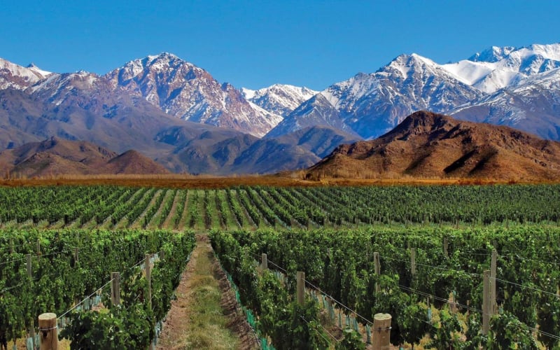 4-Day Mendoza and Andes Adventure - main image