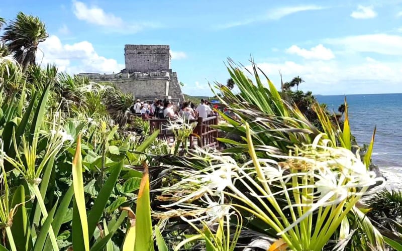 Tulum Express Half-Day Tour - main image