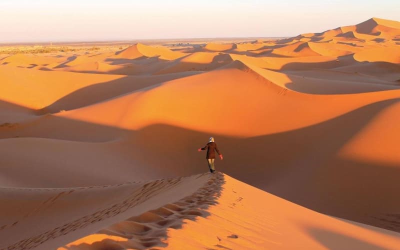10-Day Atlantic Coast & Desert Tour - main image