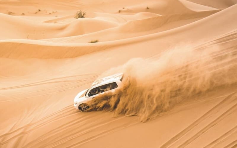 Dubai Morning Desert Safari Adventure - main image