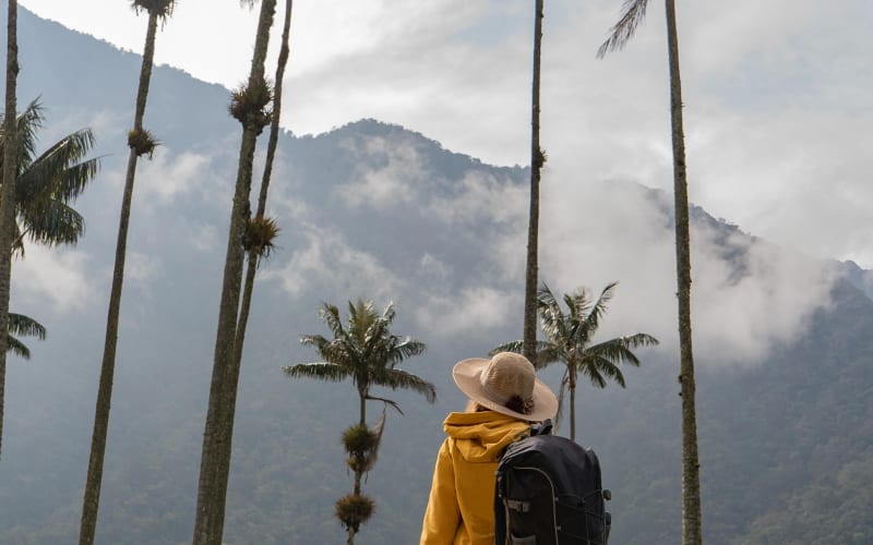 Cocora Valley Horseback Riding Tour - main image