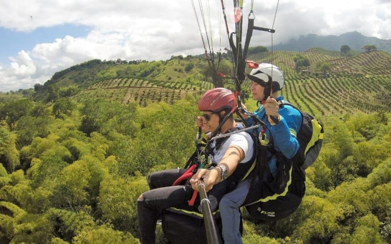 Paragliding Adventure in Salento's Coffee Region - main image