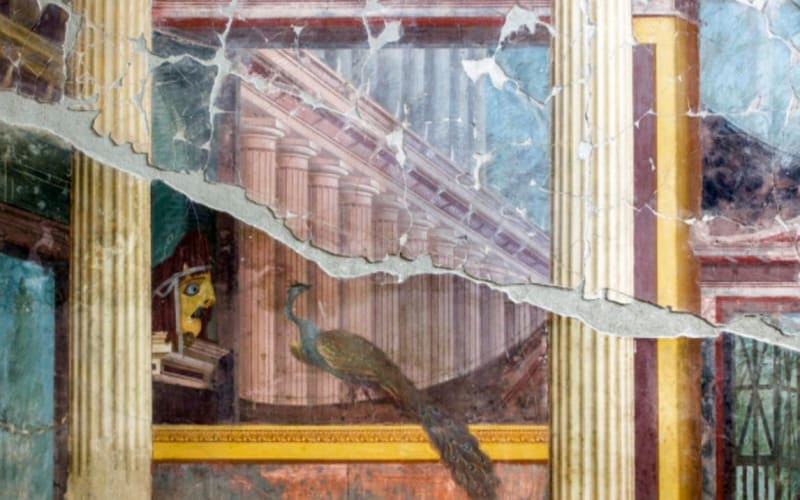 Oplontis Archaeological Tour - main image