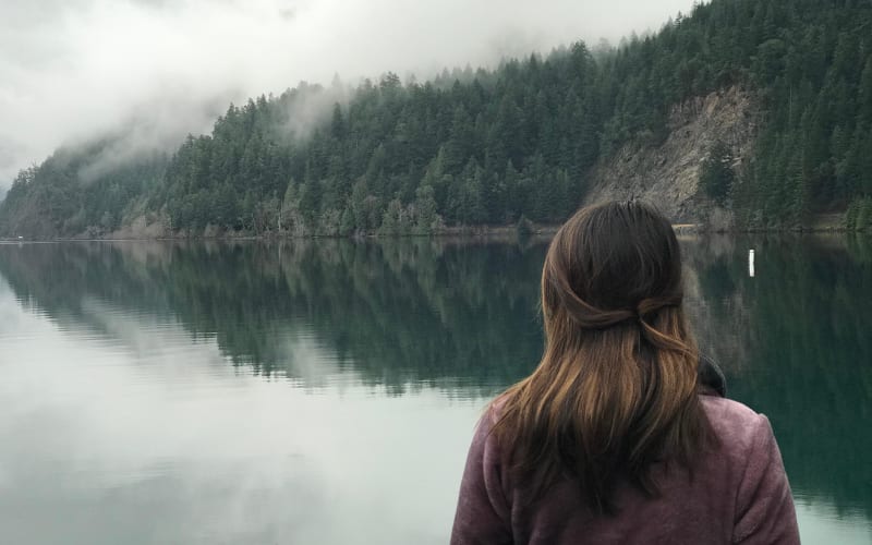 Seattle to Olympic National Park Day Tour - main image