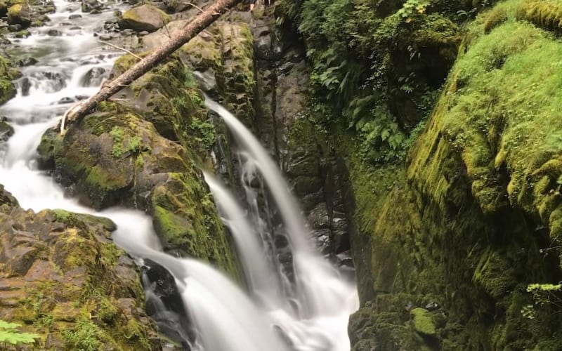 Private Olympic National Park Day Tour from Seattle - main image