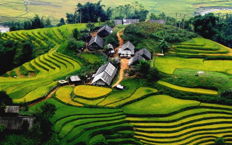 Sapa 3-Day Discovery Tour with Homestay & Hotel - main image
