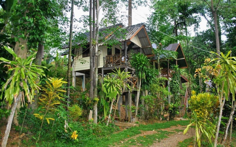 2-Day Khao Sok Jungle Safari from Krabi - main image
