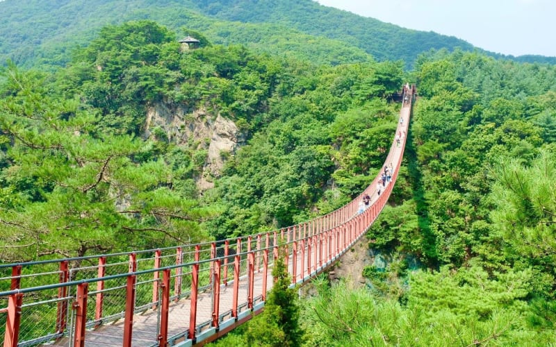 Seoul DMZ Full-Day Group Tour - main image