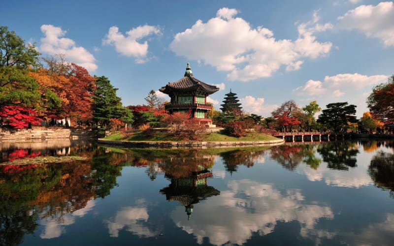 Seoul Royal Palaces and Market Tour - main image
