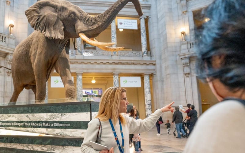 Smithsonian Natural History Museum Guided Tour - main image