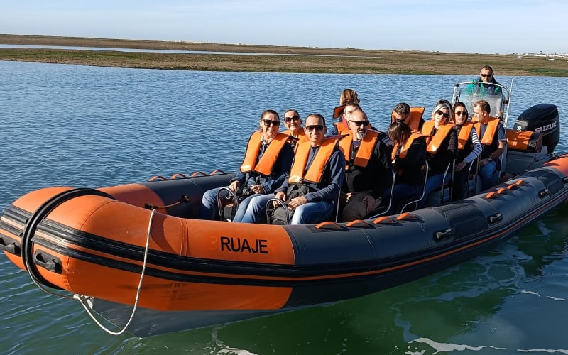 Dolphin Watching & Island Tour from Faro - main image