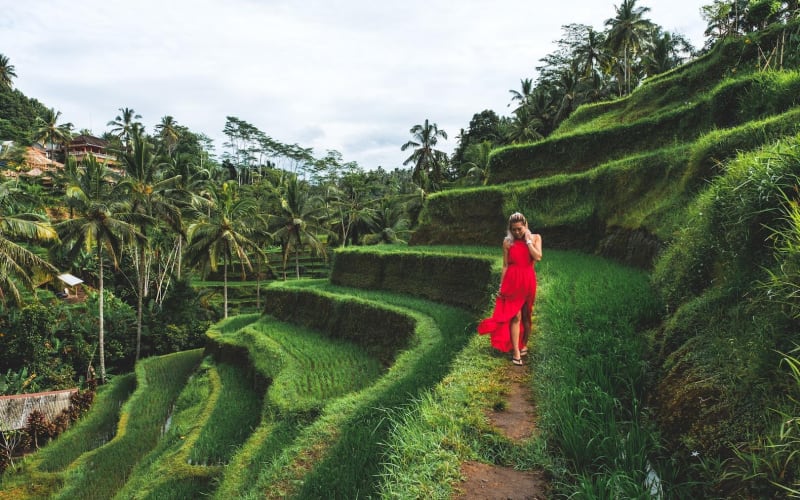 Romantic Ubud and Tanah Lot Tour - main image