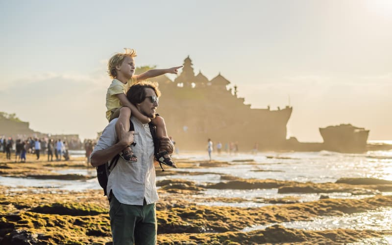 Bali's Majestic Temples and Scenic Landscapes Tour - main image