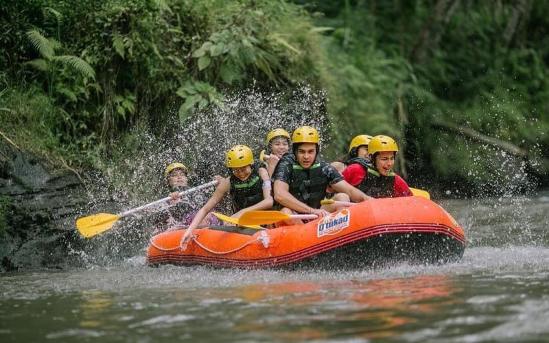 Ayung River Rafting and Ubud Tour - main image