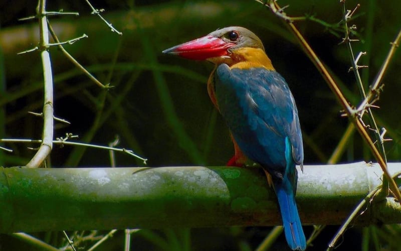Nam Cat Tien National Park 2-Day Private Tour - main image