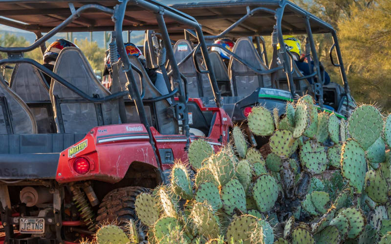 Guided Arizona Desert UTV Adventure - main image