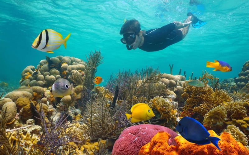 Key West 3-Hour Snorkeling Adventure - main image