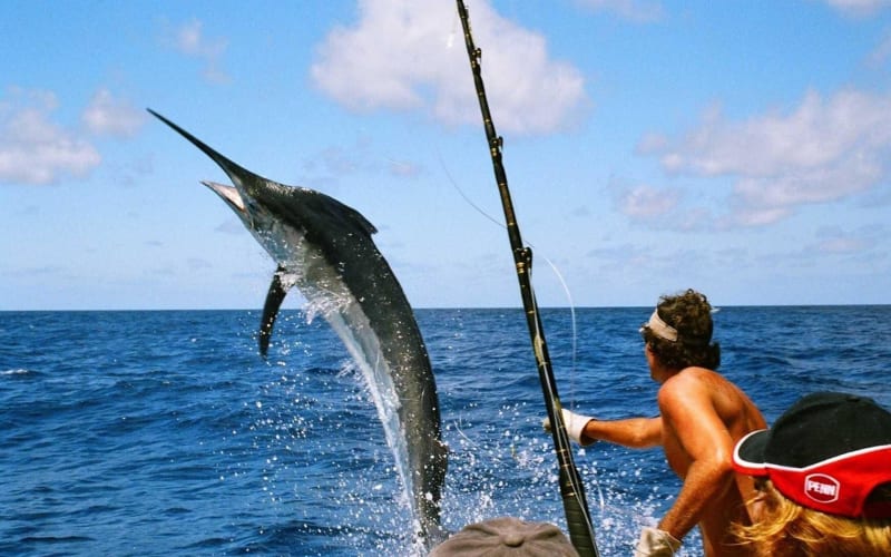 Ultimate Full-Day Big Game Fishing & Trolling Tour - main image