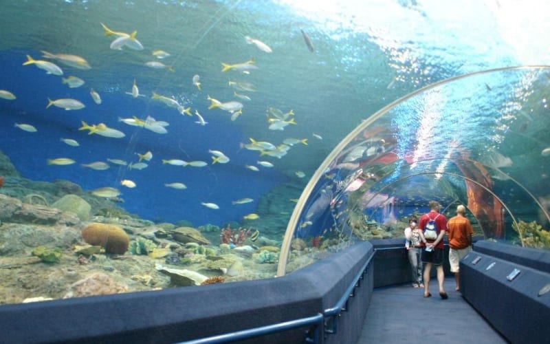 Underwater World Pattaya Skip-the-Line Ticket - main image