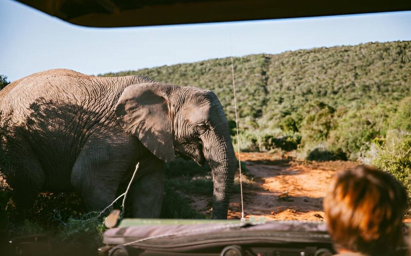 10-Day Cape Town, Kruger & Johannesburg Tour - main image