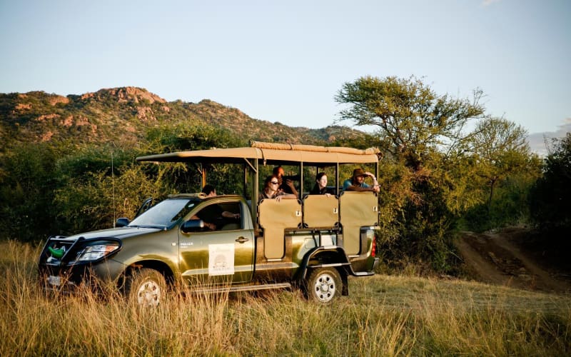 Ultimate Pilanesberg Safari Adventure - main image