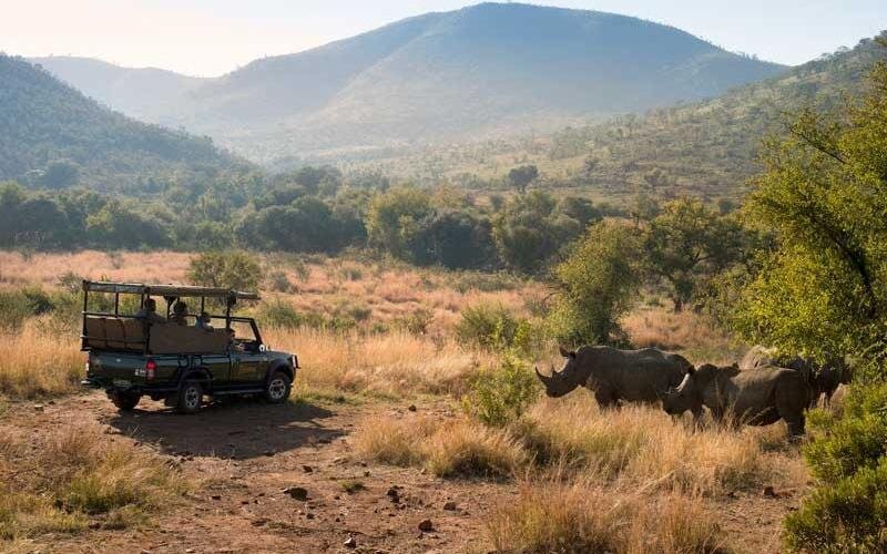 2-Day Pilanesberg Safari at Bakubung Lodge - main image