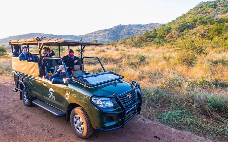 4-Day Pilanesberg Safari at Ivory Tree Game Lodge - main image