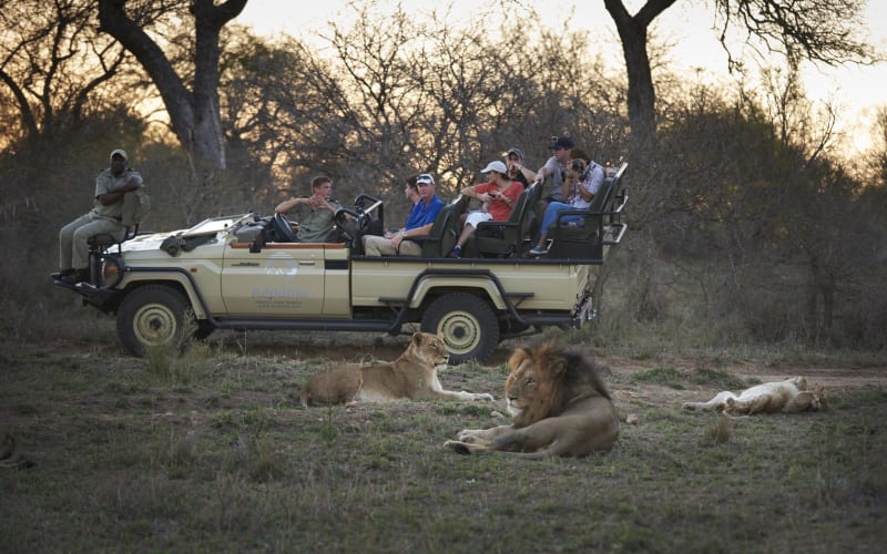 7-Day Luxury Safari: Kapama Kruger & Victoria Falls - main image