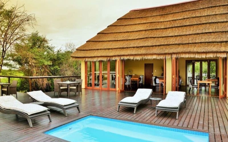 3-Day Luxury Shishangeni Lodge Safari - main image
