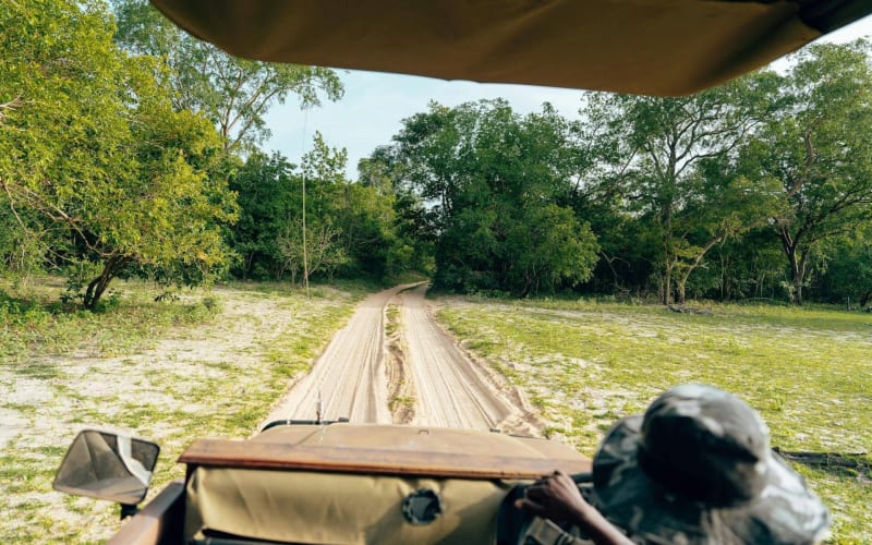 Full-Day Pilanesberg Safari from Sun City - main image