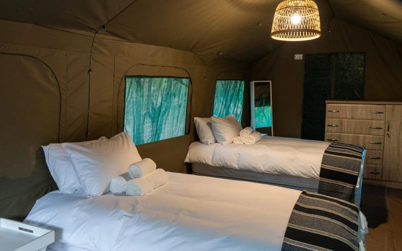 7-Day Johannesburg to Victoria Falls Safari - main image