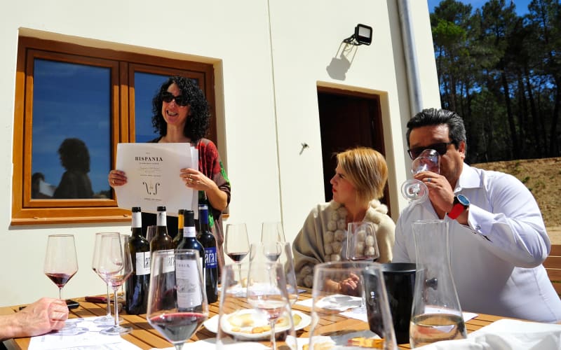 Ribera del Duero Wine Tour - main image