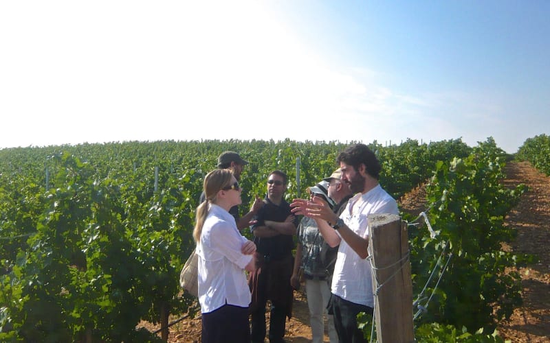 Madrid Countryside Wineries Guided Tour with Wine Tasting - main image