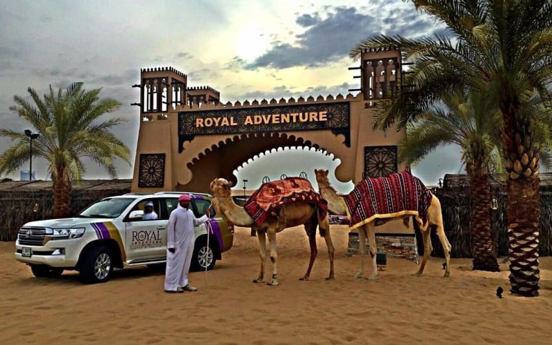 Dubai Desert Safari Evening Adventure - main image