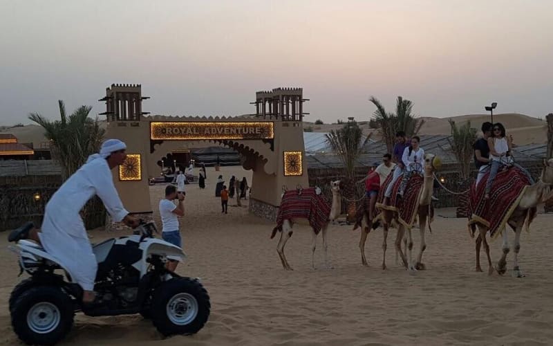 Morning Desert Safari with Quad Bike & Camel Ride - main image