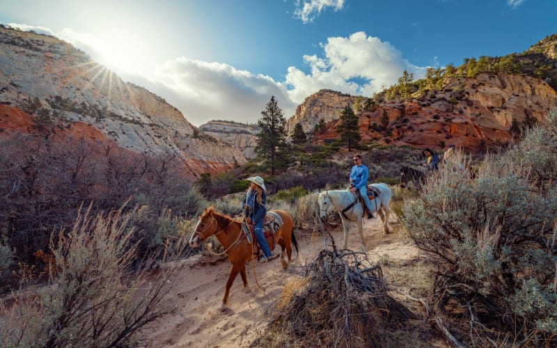 East Zion White Mountain Horseback Ride - main image