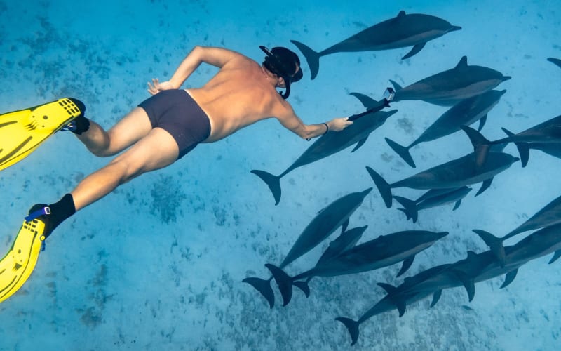 Sataya Reefs Dolphin Snorkel Cruise with Lunch - main image