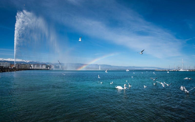 Geneva Jet d'Eau Secrets & Cruise Apéritif - main image