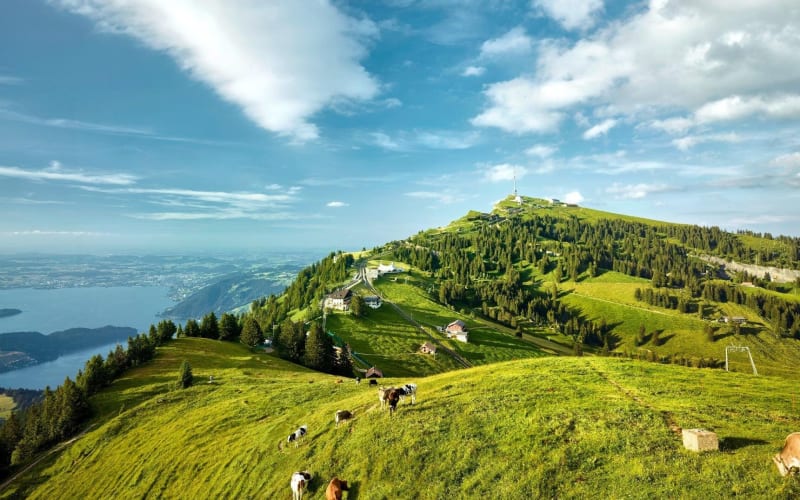 Rigi Queen of Mountains and Lucerne Day Trip - main image