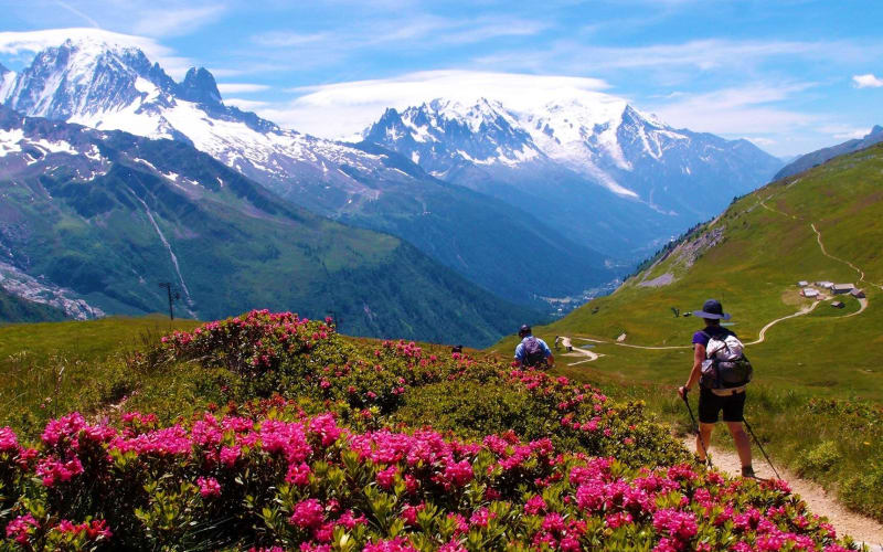 Chamonix Mont Blanc Hiking Adventure - main image
