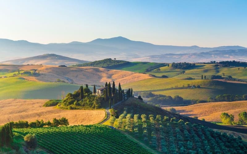 Brunello Wine Tasting Tour from San Gimignano - main image