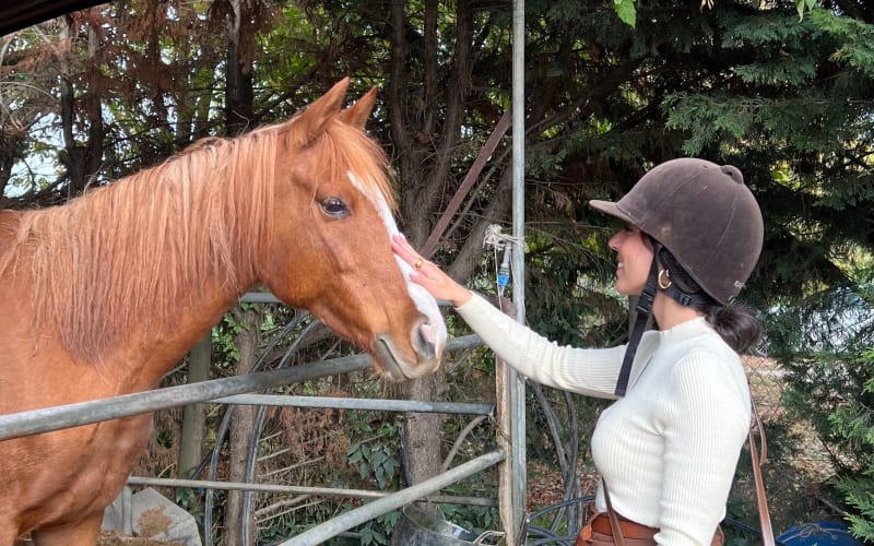 Tuscan Chianti Hills Horseback Riding Tour - main image