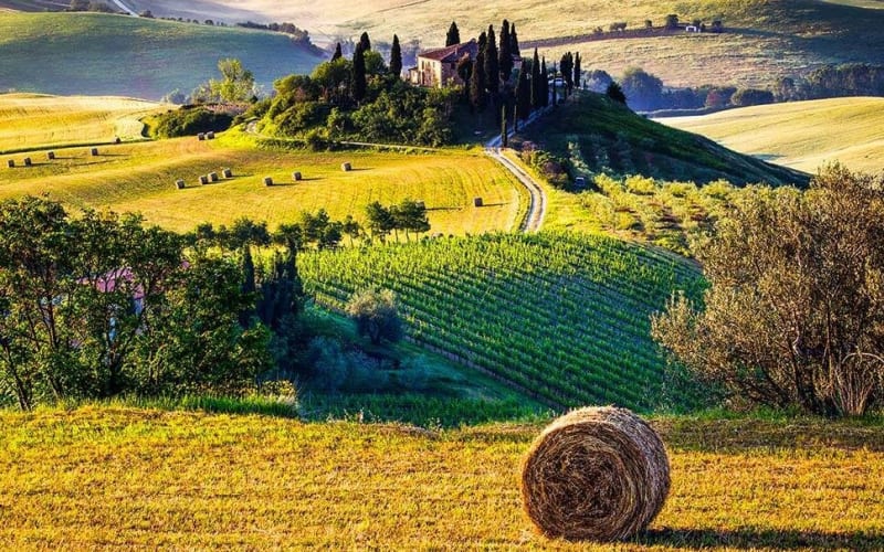 Tuscany Wine & Hills Day Trip - main image