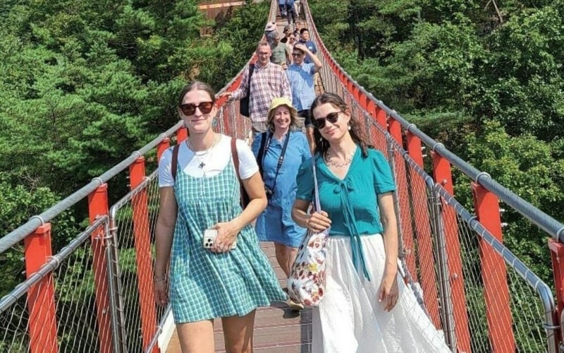 Signature DMZ Tour: Exclusive Defector Talk & Suspension Bridge - main image