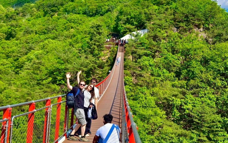 DMZ 3rd Tunnel & Nature Walk Tour - main image