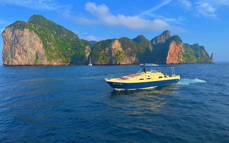 Private Phi Phi Islands Speedboat Tour - main image