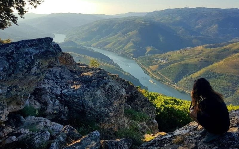 Private Premium Douro Valley Tour - main image