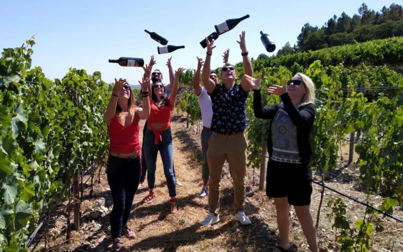 Douro Valley Wine Tour with Lunch & River Cruise - main image