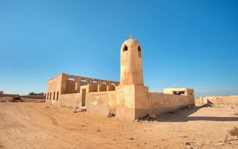 North Qatar Cultural Exploration Tour - main image